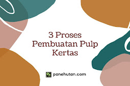 3 Proses Pembuatan Pulp Kertas