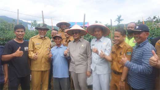 Mahyeldi Tinjau Ketahanan Pangan Di Nagari Talu