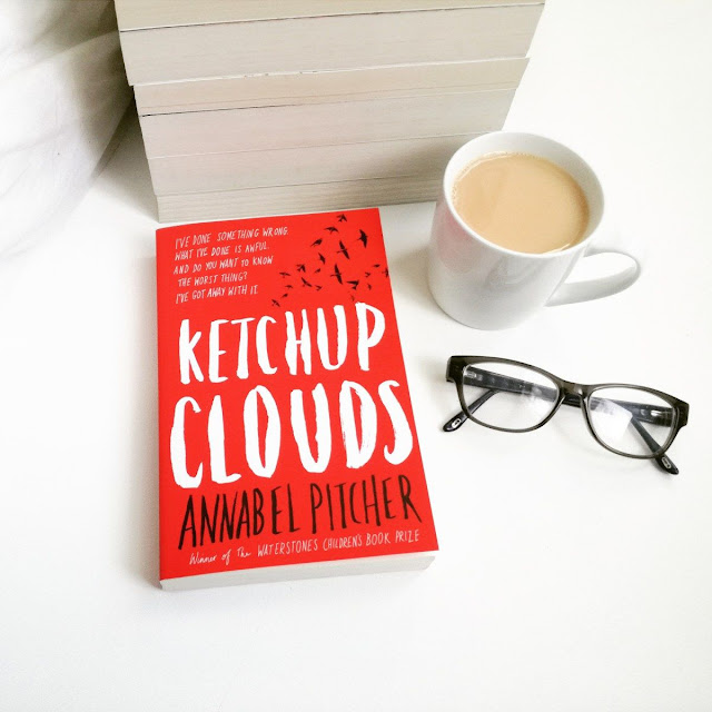 Livro: Ketchup Clouds