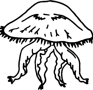 Mushroom Photos