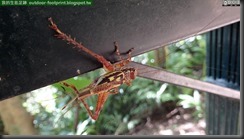 20140829_100459_021_HoMeiSan