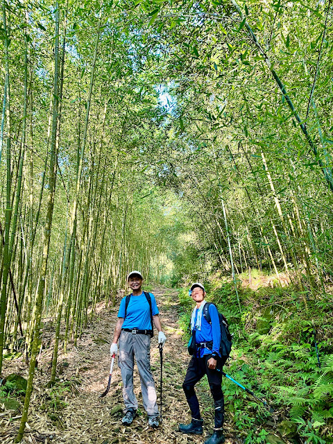 往觀音山東北峰