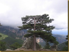 aiguilles de bavella 2
