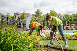 Lawn Care Christchurch