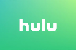 x3101 HULU PREMIUM ACCOUNTS