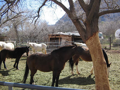 Bonnie Springs Ranch Old Nevada 