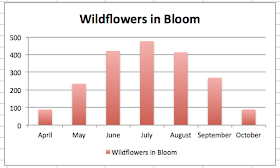 monthly wildflowers blooming