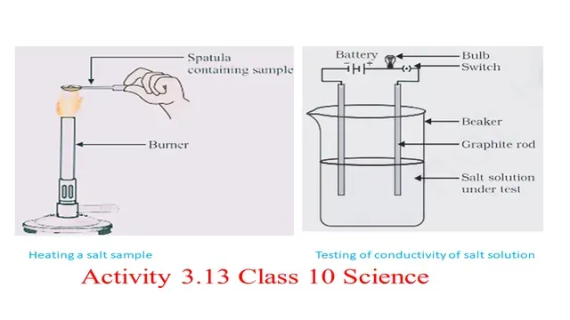 NCERT Activity 3.13 Class 10 Science Explanation