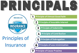 Principal of insurance