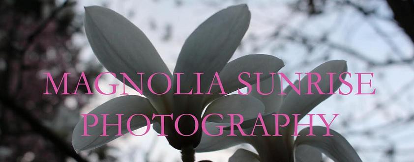 Magnolia Sunrise Photography 
