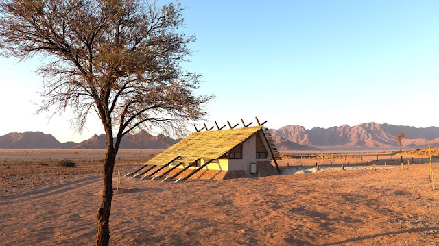 Desert Quiver Camp Namibia