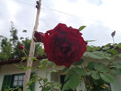Rota 2 (201)