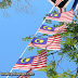 No flag by Malaysian?