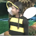 Disfraces de último minuto, oso, abeja, pirata, etc.