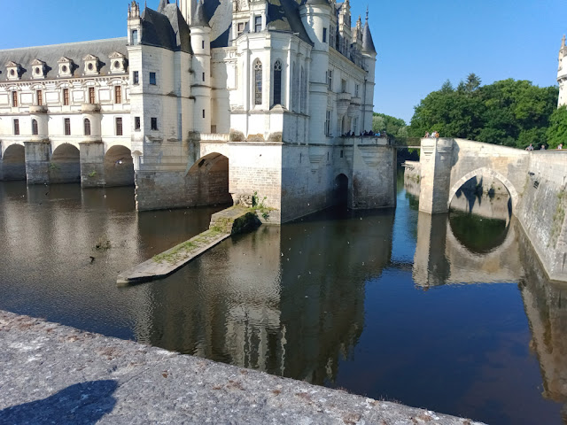 House Martins, Chateau de Chenonceau, Indre et Loire, France. Photo by Loire Valley Time Travel.