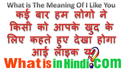 i like you का मतलब क्या होता है