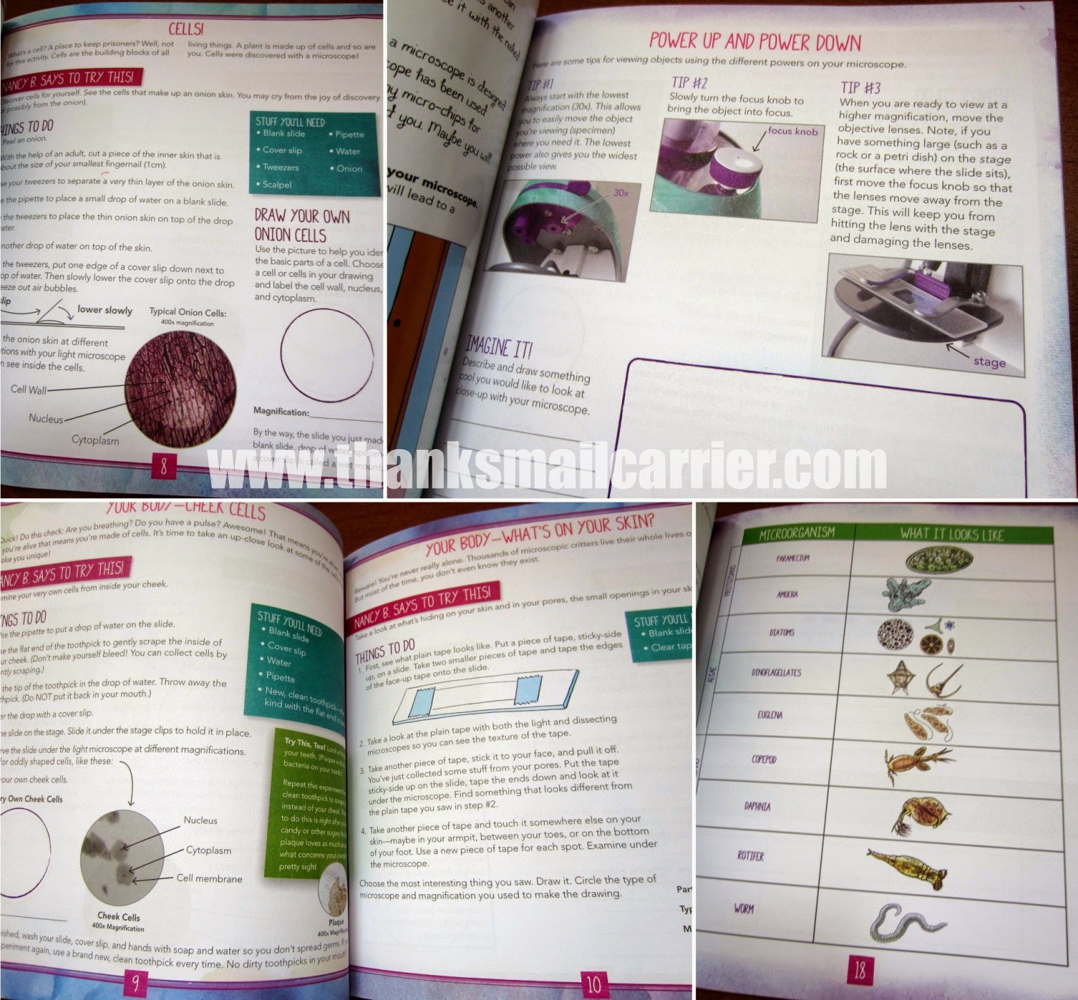 Nancy B's microscope activity book