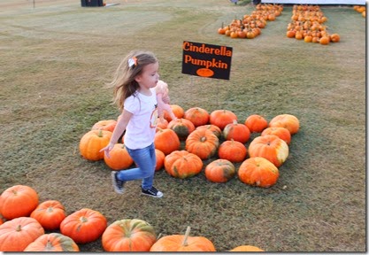 Zoey running through the pumpkins6