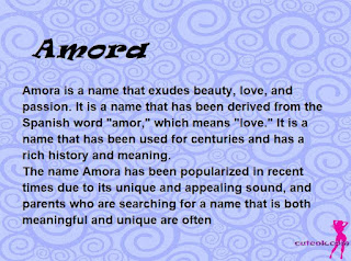 meaning of the name "Amora"