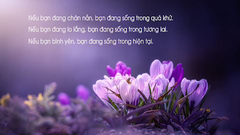 Chia sẻ đầy đủ bộ font chữ UTM Việt Hóa