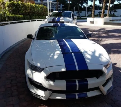 Shelby Mustang GT350 Argentina