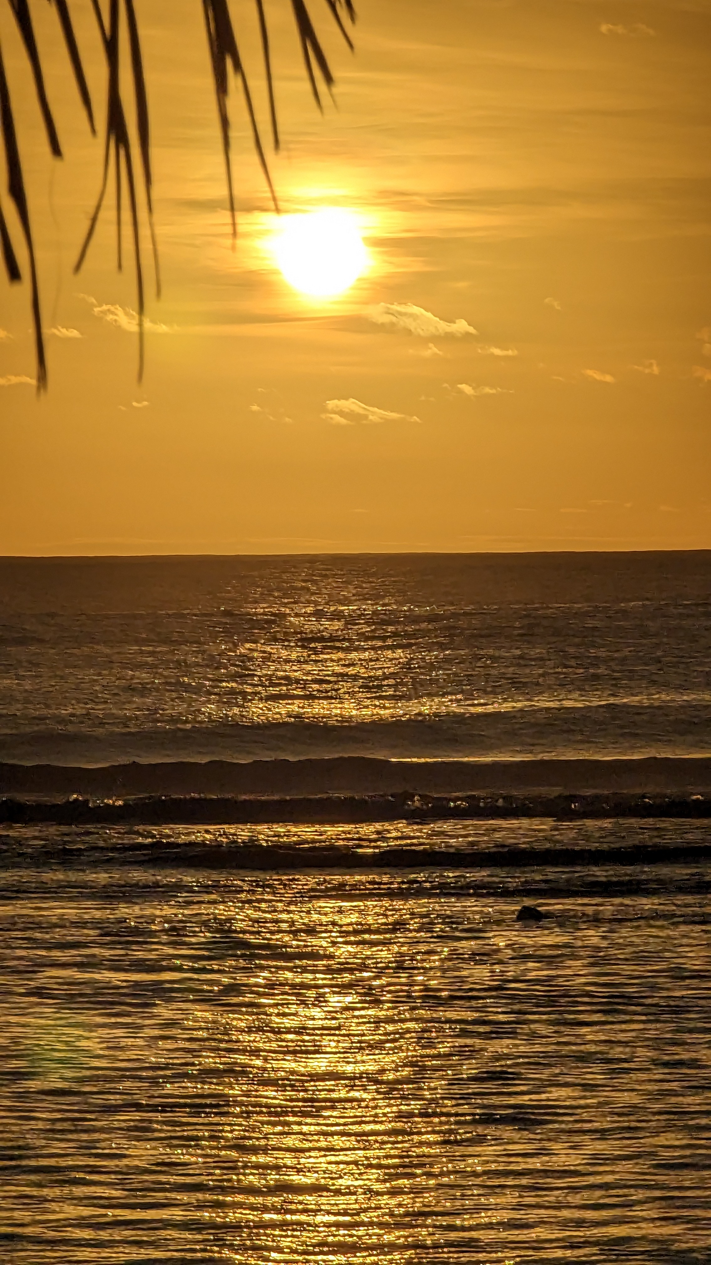 Sunset over a calm Pacific Ocean bathed in the golden sunlight