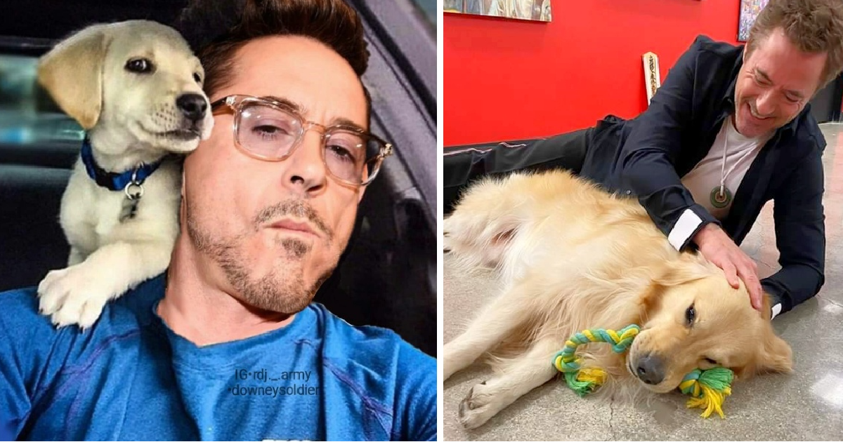 Ironman Actor Robert Downey Confesses that Lately, He Can’t Live without His Rescued Animals