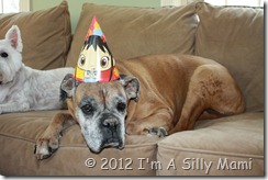 IMG_5916 IMG_5916