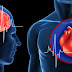 Как не умереть от инфаркта и инсульта? Ученые сделали поразительно простое открытие