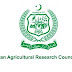 Latest Govt Jobs in Pakistan Agricultural Research Council - PARC Jobs 2022 - www.parc.gov.pk Jobs 2022