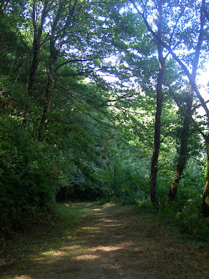 Llegada a Camino Santiago de Compostela