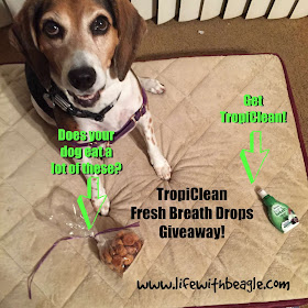 TropiClean keeps your dog's breath fresh with its new Fresh Breath Drops.