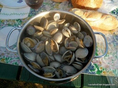 Clam Pot
