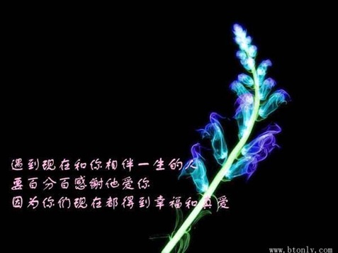 20080320024004_1158407999