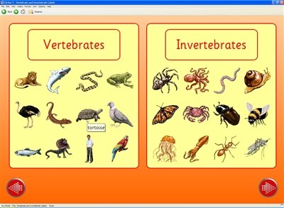 Vertebrates and invertebrates