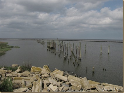 Slaughter Beach, De_20090516_040