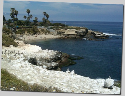 IMG00257-20100602-1119