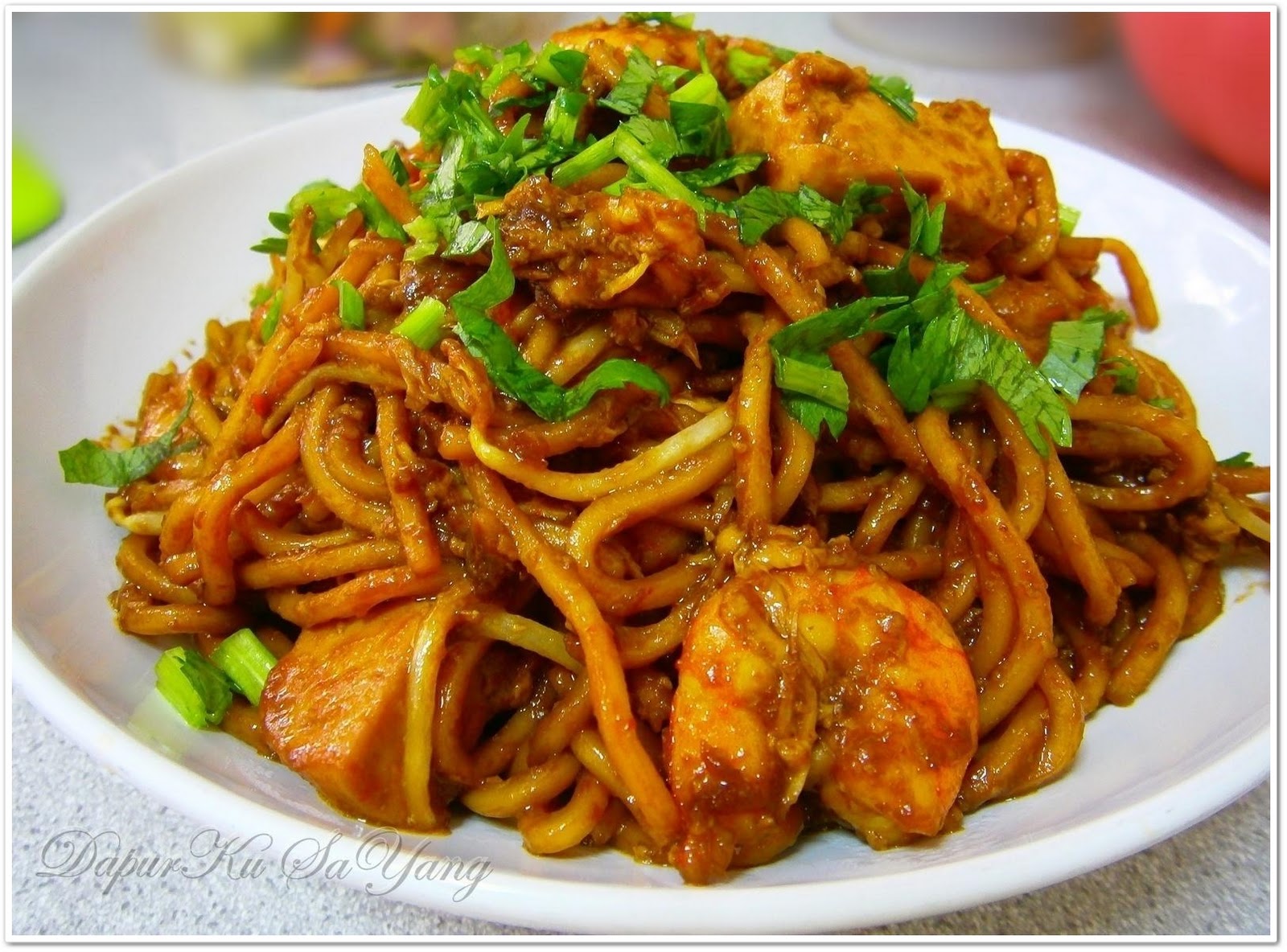 Bersantai di Dapur Bersama Kak Za Mee Goreng Biasa