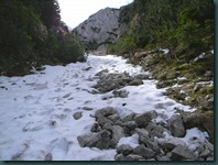 DSCN4900