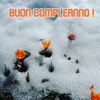 buon compleanno immagini