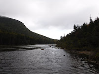 Greeley Ponds