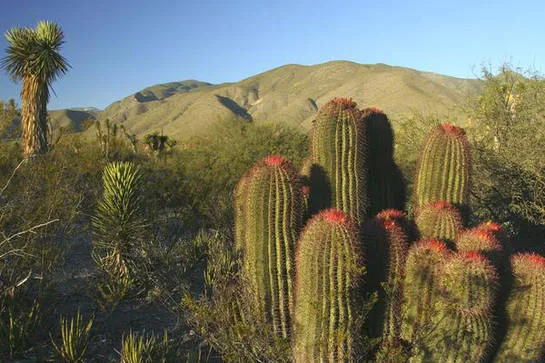 Top 10 Largest Deserts in the World