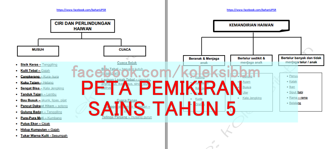 Koleksi Bahan Bantu Belajar (BBM): PETA PEMIKIRAN SAINS 