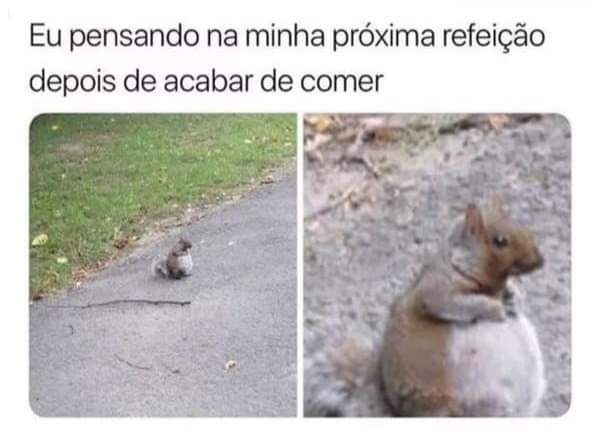 Memes engraçados