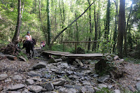 Tremendo torrente Sot de l'infern por la fuerza del agua en el Montseny