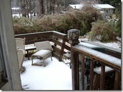 ice storm 2-15 001