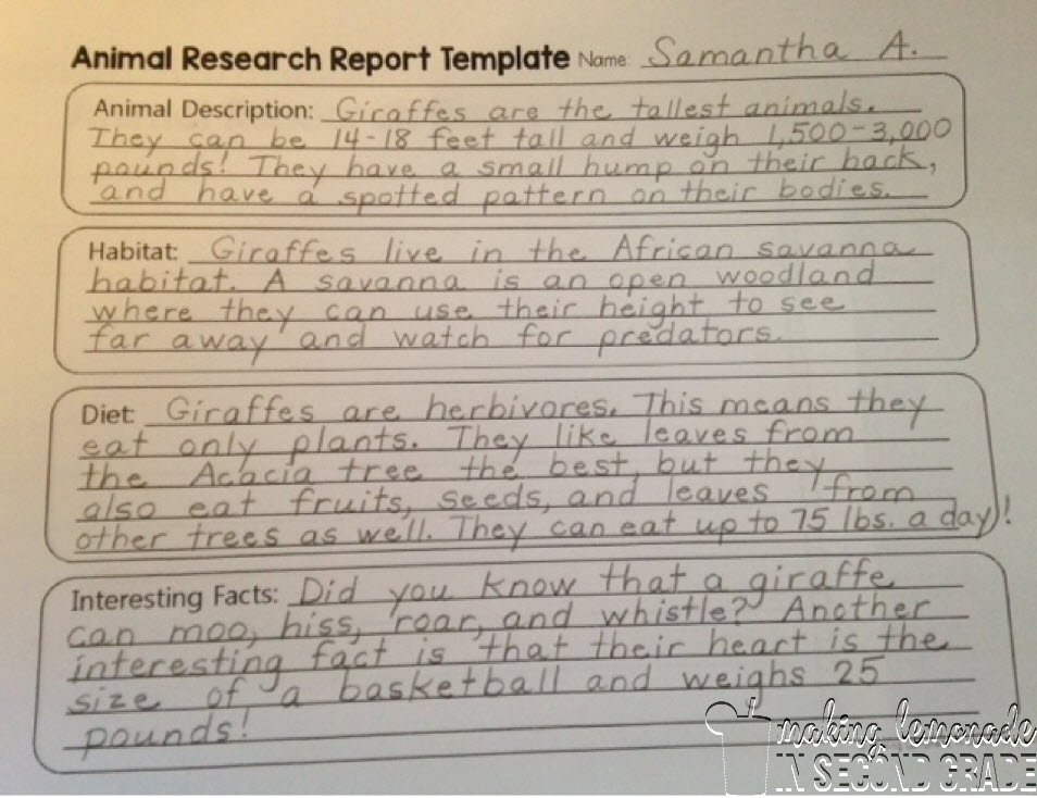 animal research paper example