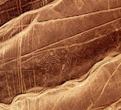 Las líneas de Nazca - La orca - HistoriadelasCivilizaciones.com