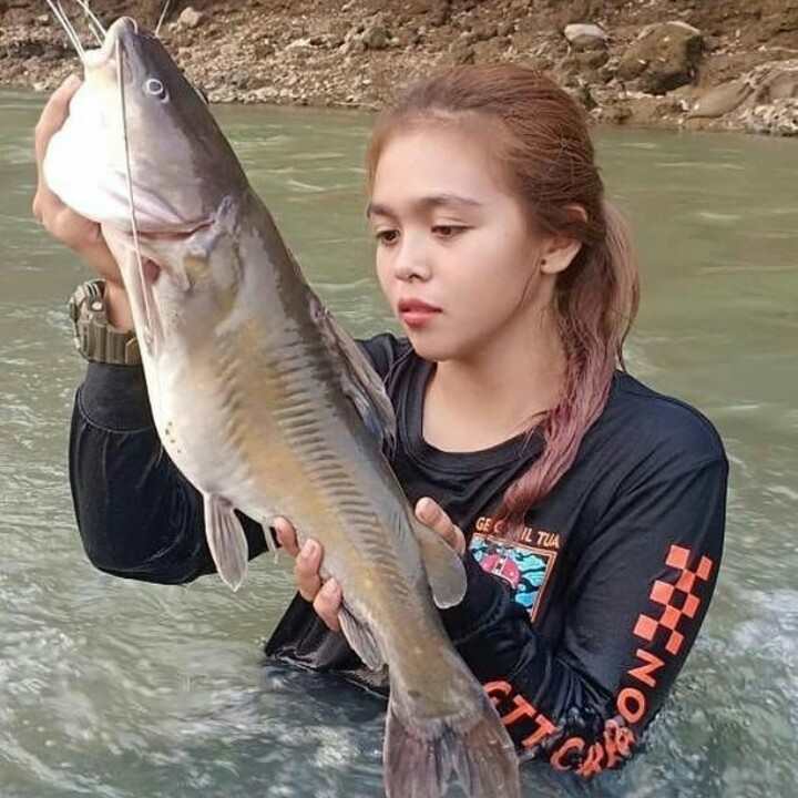 Umpan Mancing Ikan  Baung Paling Ampuh Hobi Mancing 