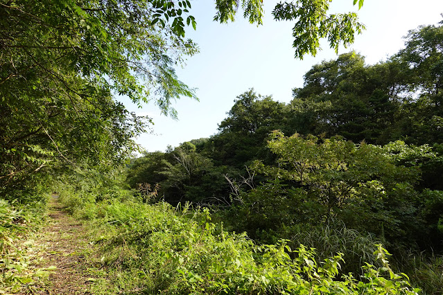 鳥取県西伯郡南部町下中谷 ヒカラシ支線 袋小路の枝道